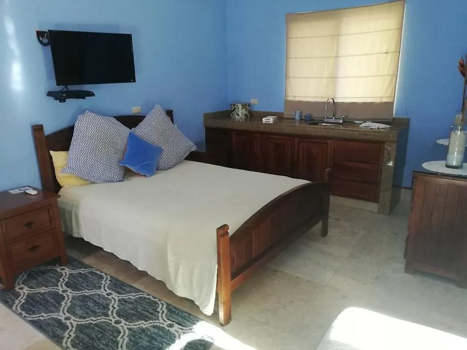 5 Bd Luxury Villa With Large Pool & Minutes From Beach Puerto Aventuras 0*,